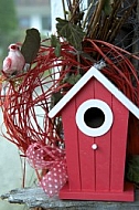 Bird house, feeder, hidden place.