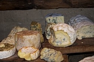 Cheese Variations 