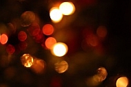Christmas Lights 