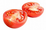 Cut tomatoes in half on a white background.