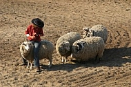 Farmer kept the sheep