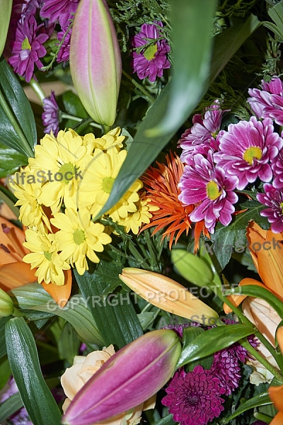 Flowers, plants, background
