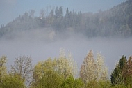 Fog in the Alps in Germany