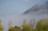 Fog in the Alps in Germany