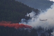 Forest Fire Fighting 