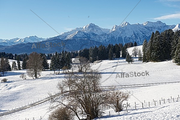 Forggensee, Ostallgäu in Bavaria, Germany