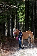 Horse and girl standing in the forest 