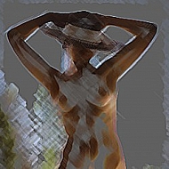 Impressions of a Nude Woman 