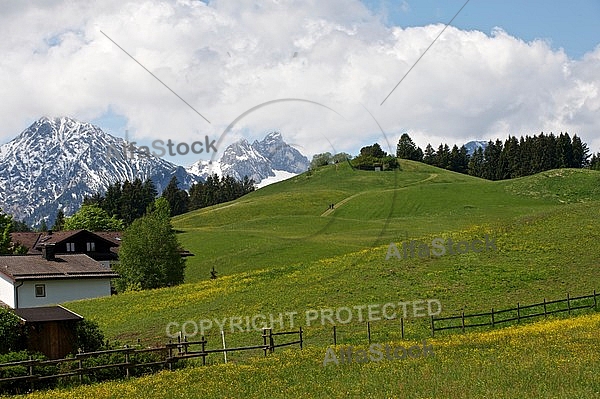 Meadow with mountains in the background