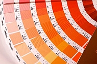 PantoneR Color BridgeTM reference tool