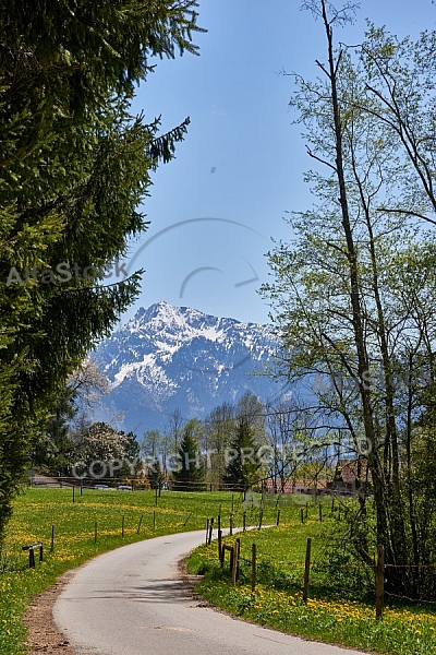 Riedener Faulensee, Allgäu, Bavaria, Germany