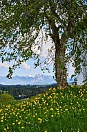 Schwaltenweiher, Schlosshof, Rückholz, Allgäu, Bavaria, Germany
