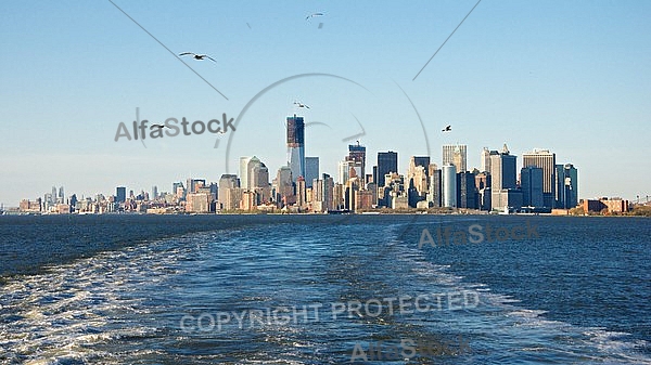 Seagulls above the Upper Bay near Lower Manhattan, New York City, United States