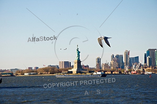 Seagulls above the Upper Bay near Satue of Liberty, New York City, United States