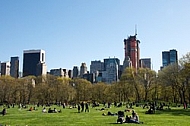 Sheep Meadow in Central Park in New York City, United States