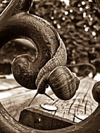 Snail, snails 