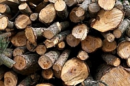 Stocked wood