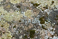 Stones, Background