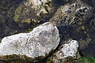 Stones, background