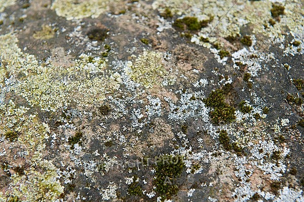 Stones, Background