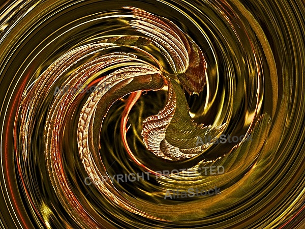 Swirl and whirlpool 