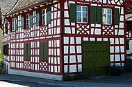 Swiss Alps House
