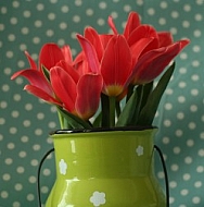 Tulips is container