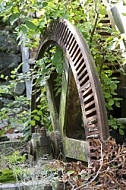 Wheel in the forest