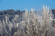 Winter, Background