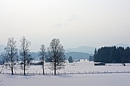 Winter, Background