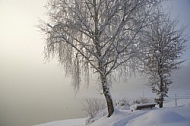 Winter, Dietringen, Forggensee, Ostallgäu in Bavaria, Germany