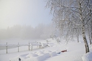 Winter, Dietringen, Forggensee, Ostallgäu in Bavaria, Germany