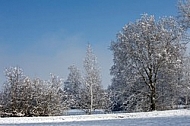 Winter, snow, wood